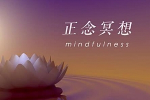 《童慧琦·怎样学会正念冥想》百度云网盘下载[MP3/PDF/62.28MB]