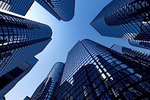 《白洋·怎样快速搞懂一家公司》百度云网盘下载[MP3/PDF/62.56MB]