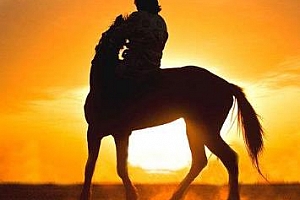 《林特特·如何成为社交高手(女性篇)》百度云网盘下载[MP3/PDF/88.70MB]