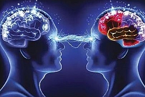 《许岑·有效训练你的研究能力》百度云网盘下载[MP3/PNG/55.64MB]