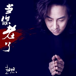 赵照《当你老了》 flac无损音乐免费下载