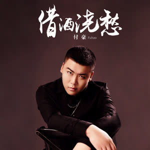 付豪《借酒浇愁》 flac无损音乐免费下载