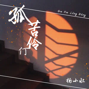 杨小壮《孤苦伶仃》 flac无损音乐免费下载