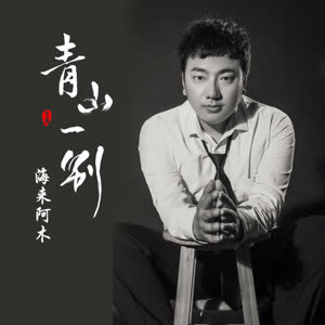 海来阿木《青山一别》 flac无损音乐免费下载