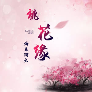 海来阿木《桃花缘》 flac无损音乐免费下载