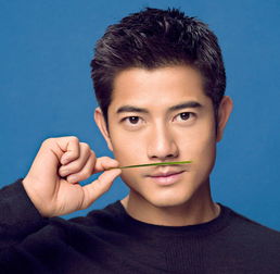 郭富城《我是不是该安静的走开》 flac无损音乐免费下载