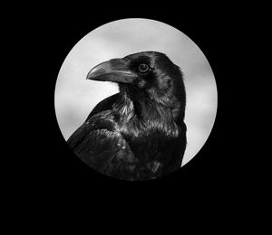 Ice Paper《心如止水》 flac无损音乐免费下载