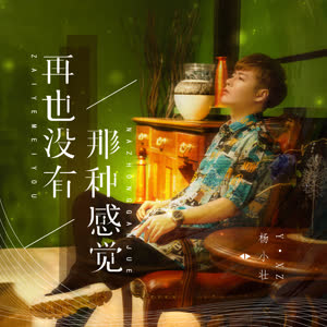 杨小壮《再也没有那种感觉》 flac无损音乐免费下载