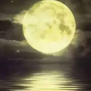 萨顶顶《左手指月》 flac无损音乐免费下载