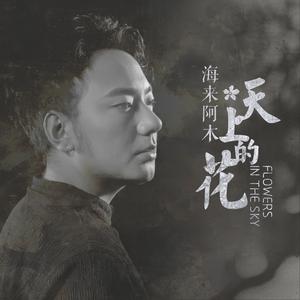 海来阿木《天上的花》 flac无损音乐免费下载