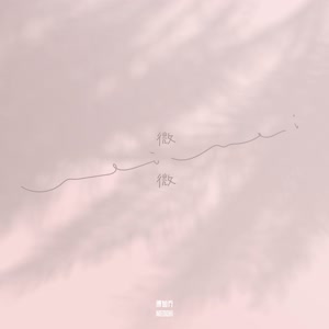 傅如乔《微微》 flac无损音乐免费下载