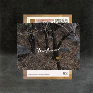 阿冗《你的答案》 flac无损音乐免费下载