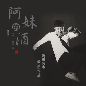 海来阿木《阿妹的酒》 flac无损音乐免费下载