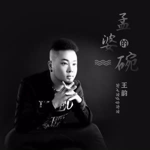 王韵《孟婆的碗》 flac无损音乐免费下载