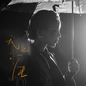 小曼《我这一生》 flac无损音乐免费下载