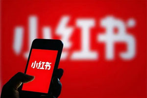 狼叔带你玩转小红书爆款引流百度云网盘下载