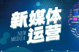 零基础快速入门新媒体运营百度云网盘下载