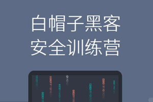 Web安全：白帽子黑客训练营百度云网盘下载