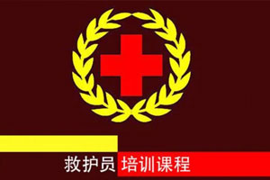 红十字救护员防灾避险培训百度云网盘下载
