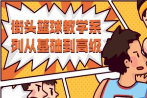 街头篮球教学从基础到高级百度云网盘下载