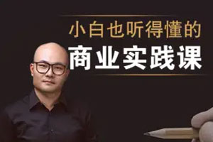 老光：小白也能听得懂的商业实战课【完结】百度云网盘下载