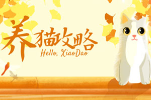 猫咪训练+养猫攻略大全百度云网盘下载