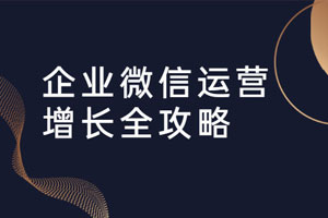 企业微信运营增长全攻略百度云网盘下载