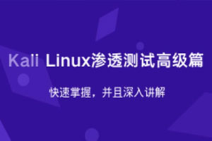 Kali Linux渗透测试高级篇百度云网盘下载