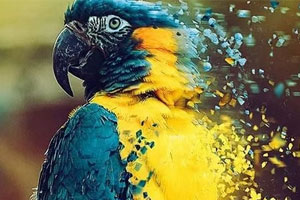 PS飞溅粒子动作特效（Win&Mac）免费版百度云网盘下载