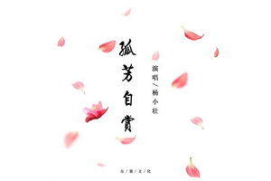 杨小壮单曲《孤芳自赏(我承认我自卑)》[FLAC无损音乐]百度云网盘下载