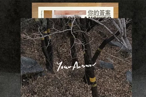 阿冗单曲《你的答案》[FLAC无损音乐]百度云网盘下载
