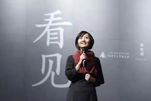 柴静《看见》有声书百度云网盘下载