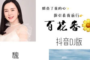 魏新雨&网友顽童单曲《百花香 (抖音DJ版)》百度云网盘下载