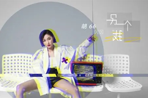 胡66单曲《后来遇见他》[FLAC无损音乐]百度云网盘下载