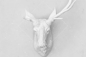 鹿先森乐队单曲《春风十里》[FLAC无损音乐]百度云网盘下载