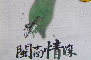 经典闽南语歌曲精选100首合集百度云网盘下载