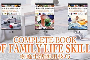 《家庭生活实用技巧全书》电子文档百度云网盘下载