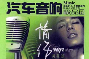 极品发烧经典重现车载音乐系列《情伤·男声篇》2CD歌曲百度云网盘下载