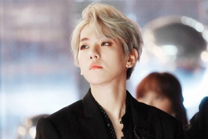 EXO边伯贤34首歌曲精选合集打包百度云网盘下载