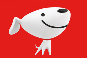 独家披露京东上市幕后故事5个视频合集百度云网盘下载