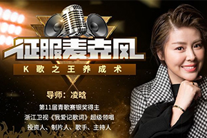 征服麦克风：K歌之王养成术（完结）百度云网盘下载
