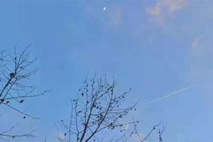 枯木逢春单曲《这一生关于你的风景》[FLAC无损音乐]百度云网盘下载