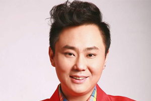 歌手高安歌曲精选22首合集百度云网盘下载