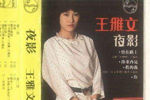 王雅文无损歌曲精选12首百度云网盘下载