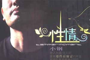 小钢无损歌曲精选14首百度云网盘下载