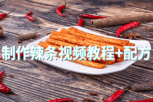 制作辣条视频教程+配方百度云网盘下载