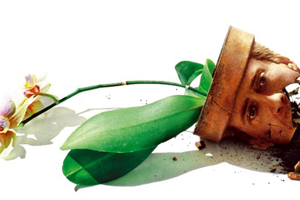 电影《改编剧本》剧本电子文档百度云网盘下载