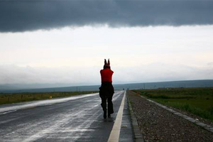 电影《朝圣者》剧本电子文档百度云网盘下载