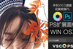 VSCO全滤镜转PS插件一键调色完美模拟182款预设百度云网盘下载