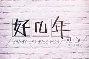 刘心 好听的花两个版本单曲《好几年》[FLAC无损音乐]百度云网盘下载